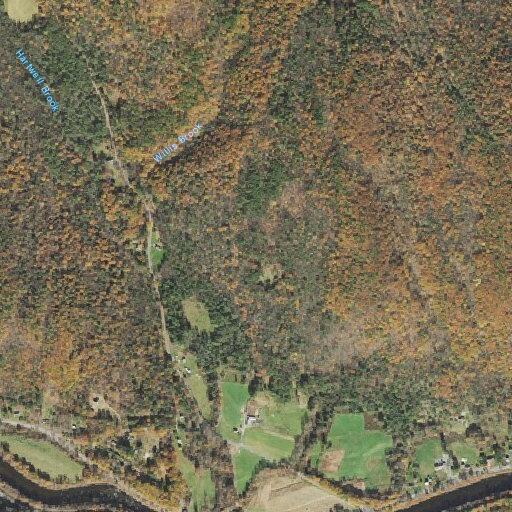 female with possible broken ankle at mountain rd