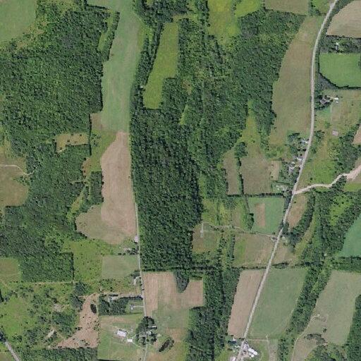 Domestic dispute with property damage and injury