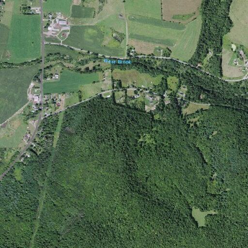 Man with chest pain near Bryant Road