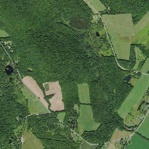 Man conscious after fall near Williams Road