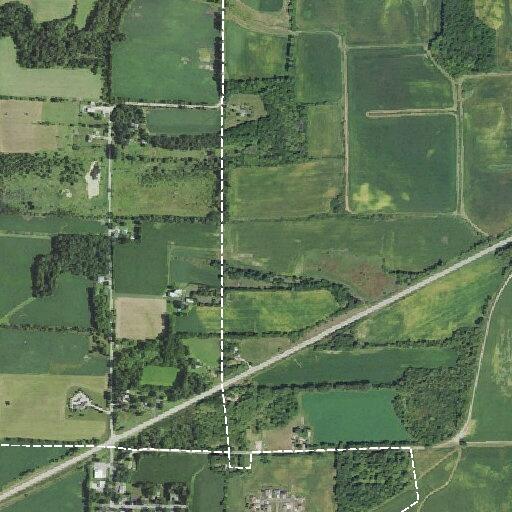 Deer hits vehicle on Highway 11