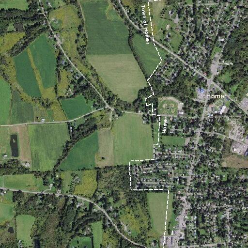 Woman suffers dog bite to finger in Homer