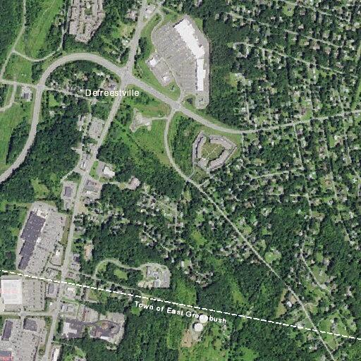 Bear reported near elementary school area