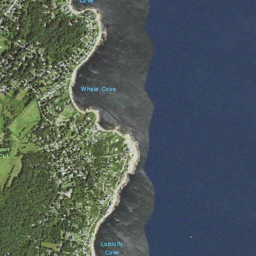 Female party requests medical evaluation in Cape Ann