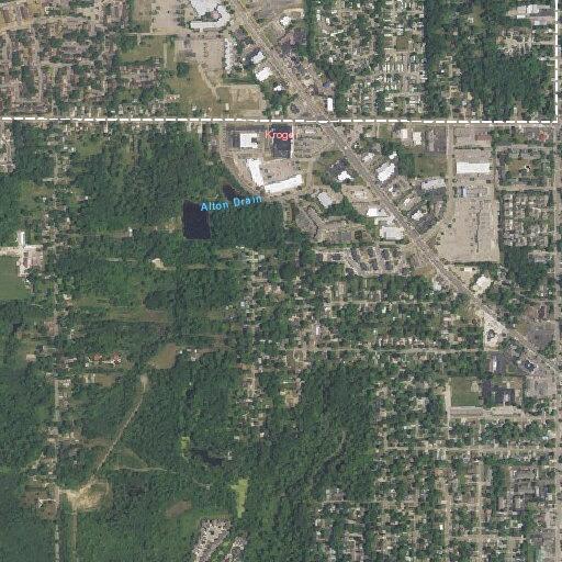 Person with irregular heart rhythm near Main Street in Delhi Township
