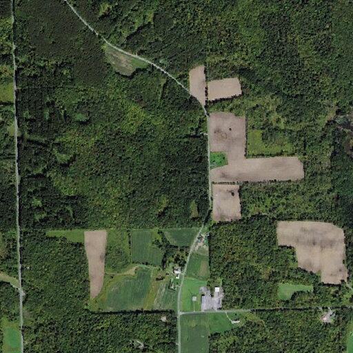 Scrap metal stolen from dumpsters on Creech Road
