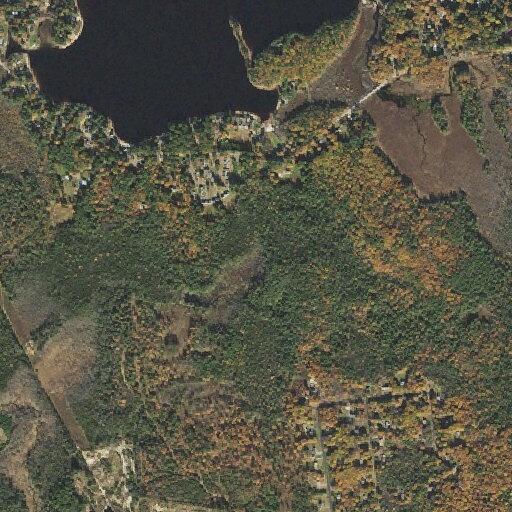 73-year-old woman allergic to medication near Ashburnham
