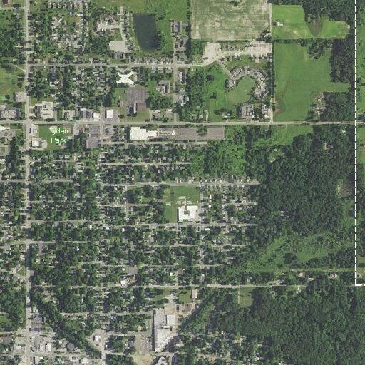 Neighbor reports man cutting tree limbs and trespassing