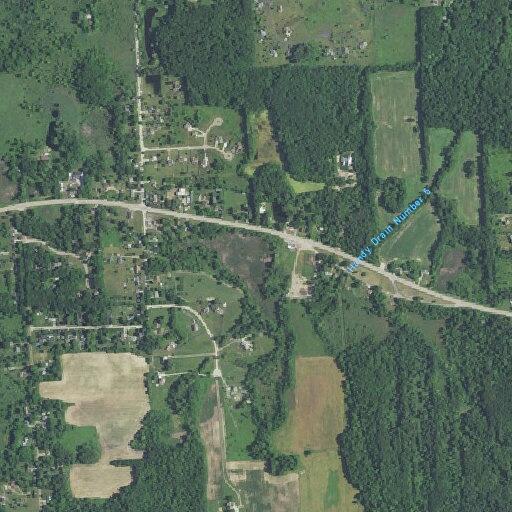 Elderly male suffers ruptured spleen injury near Grand River Ave