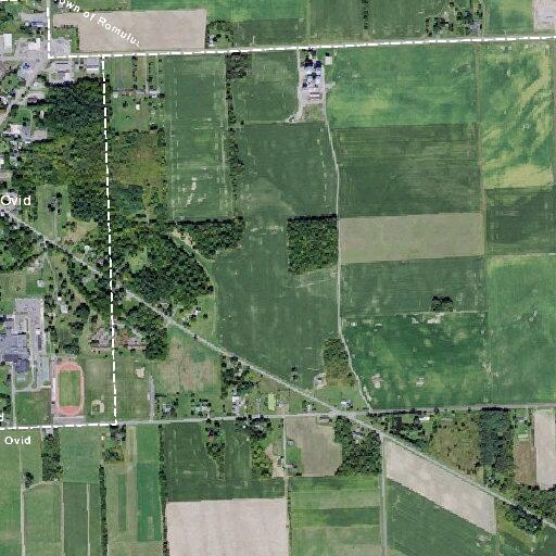 Elderly female falls with possible hip injury in Ovid