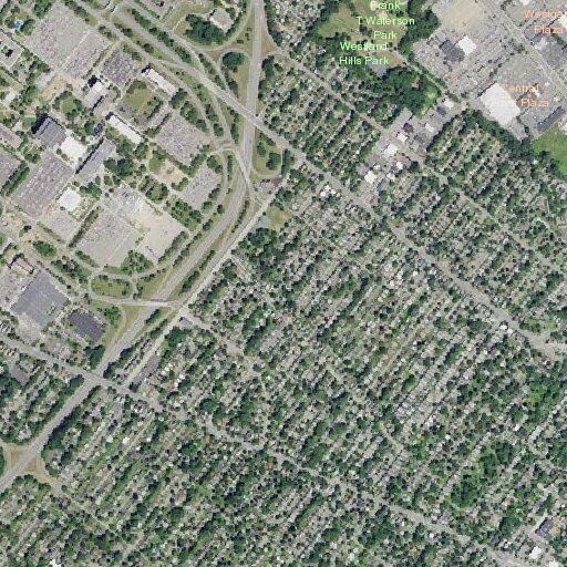 Child with head injury near Hawthorne Avenue, Albany