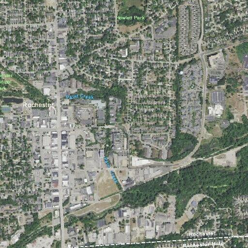 Elderly female falls and injures throat near South Allen in Rochester
