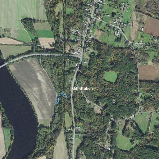 Dog struck by train near Millers Falls Road