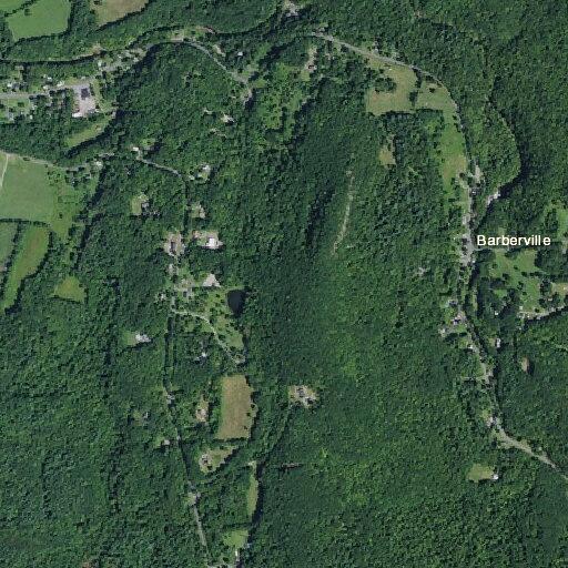 Ongoing dog disturbance reported on Snake Hill Road