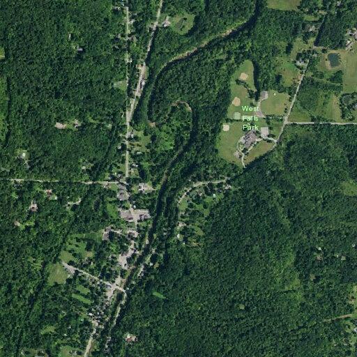 Woman with diabetic bleeding near Davis Road in West Falls