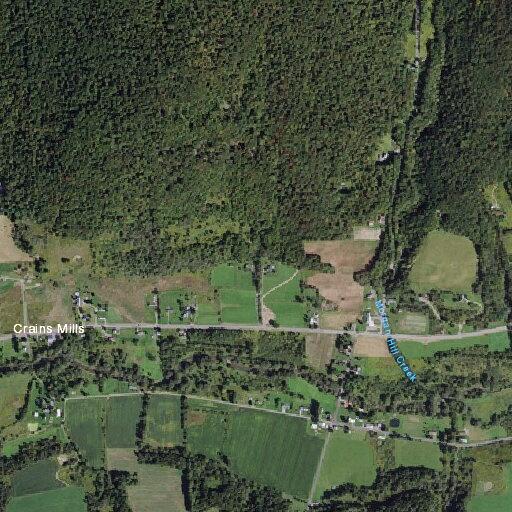 Person reported sick near Crains Mills Road in Truxton