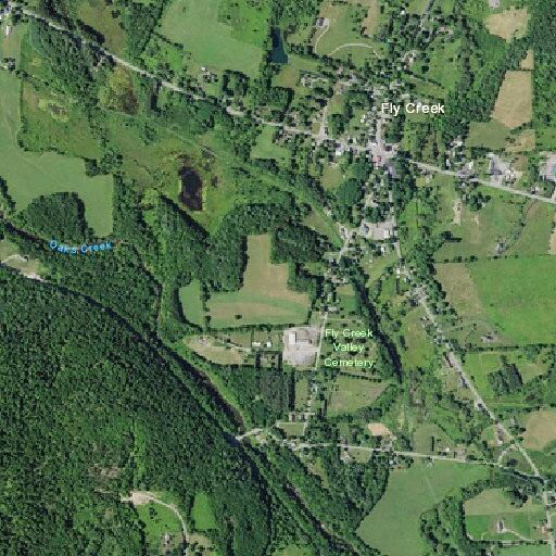 Trees down and possible roadway fire in Otsego