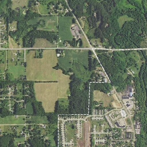 Loose dogs in roadway near Seneca Ridge Drive