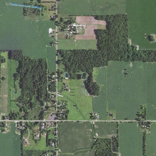 Arcing power line striking tree near Grand Ledge