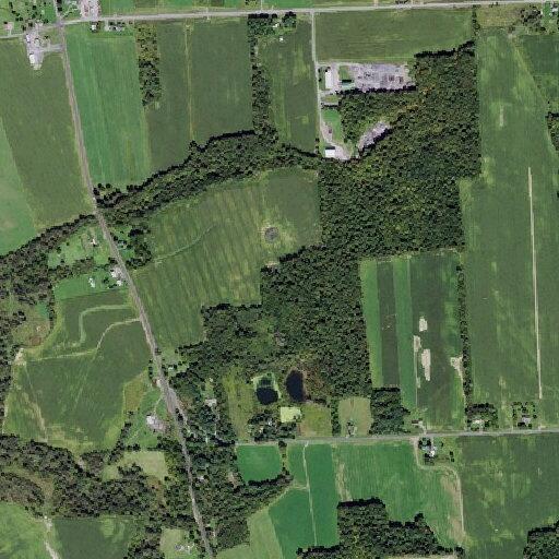 Elderly woman injured in fall near Ford Road in Southern Cayuga