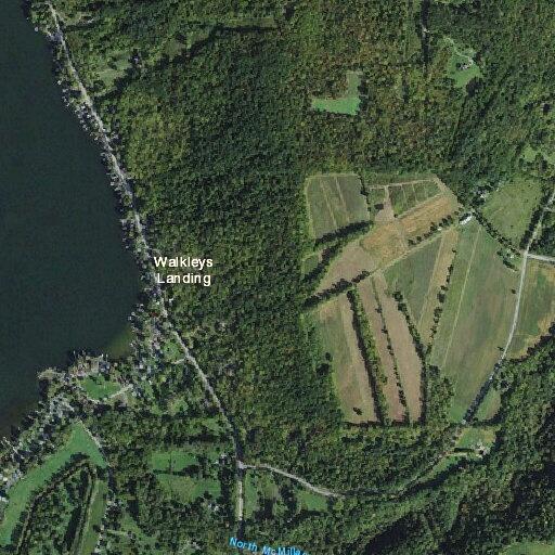 Woman with abdominal pain near conesus lake