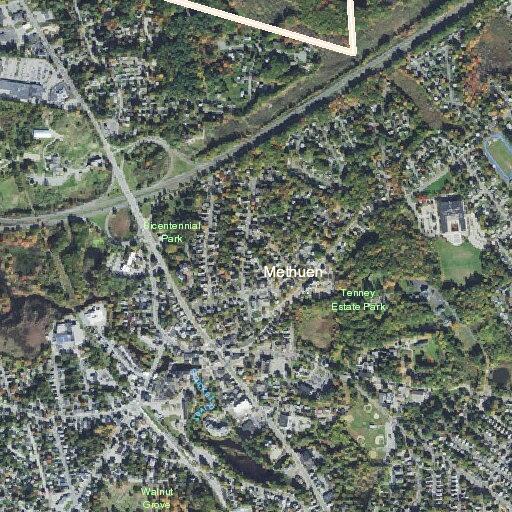 Report of loose dog near Hampshire Circle