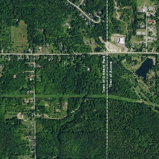 Neighbor reports assault and injured person in yard