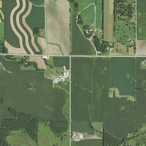 Animal issue reported on Schneeberger Road