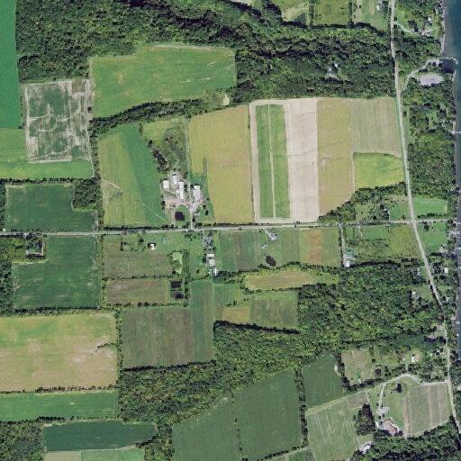 Elderly woman falls near Vineyard Road in Romulus