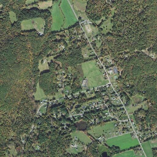 Seventy-year-old man passes out near Shirley Drive in Vernon