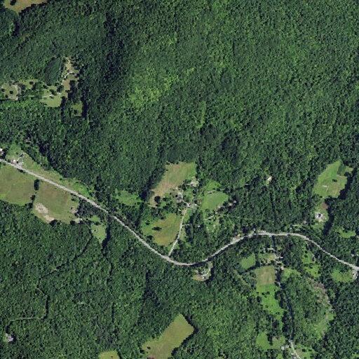 Person fallen near Taconic Trail in Petersburgh