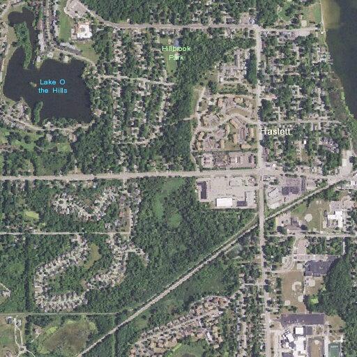 Elderly woman in pain refuses care at Haslett residence