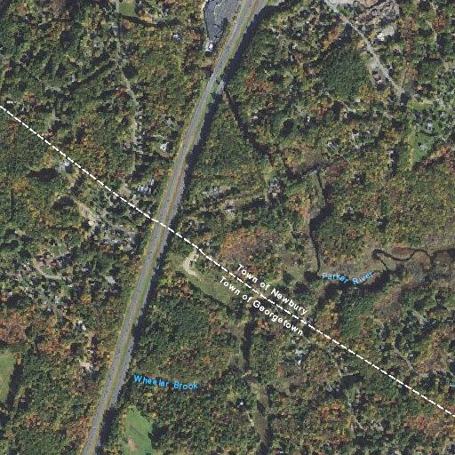 Report of sick fox on Webb Road