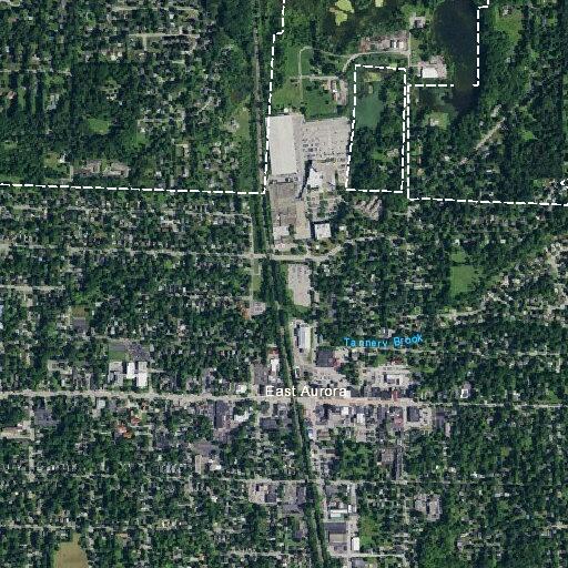 Group reportedly using drugs in backyard