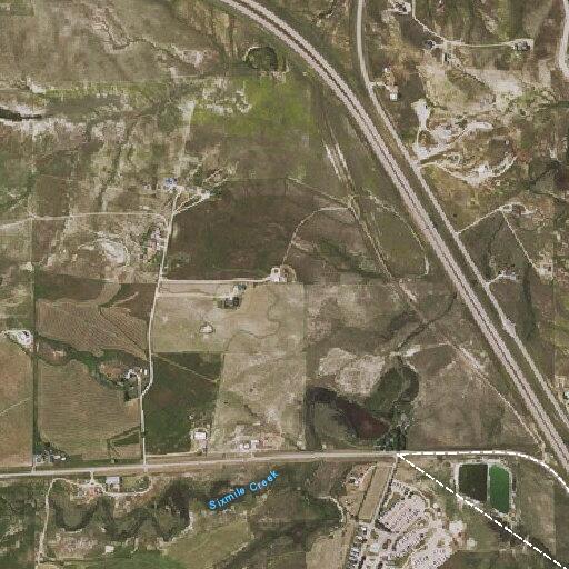 Loose horse and colt near Douglas highway