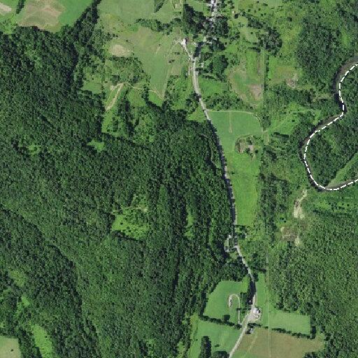 Elderly woman experiencing chest pain near Hartwick