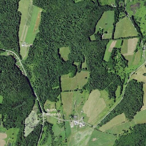 Tree blocking road with wires at County Highway 20