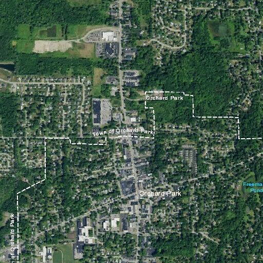 Woman possibly having a seizure near Orchard Park