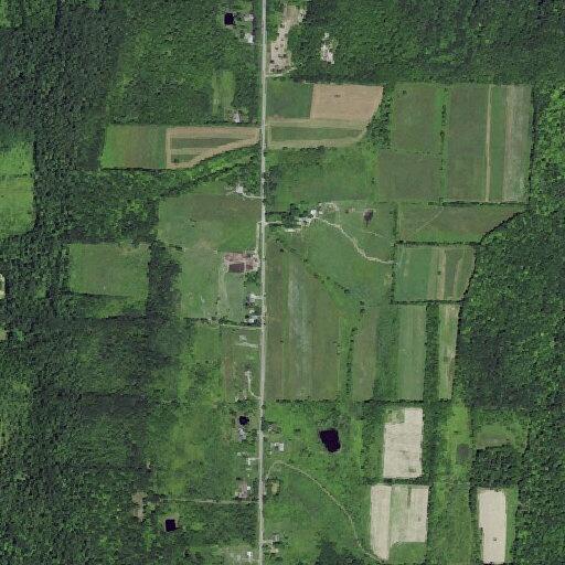 Man having seizure near Purcell Road in Hemlock