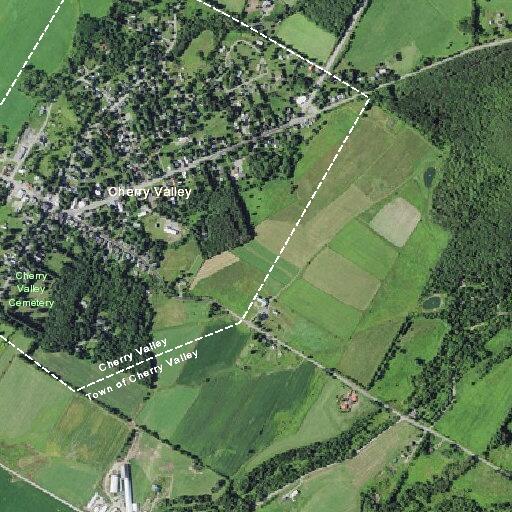Woman bitten by animal near Lancaster Street in Cherry Valley