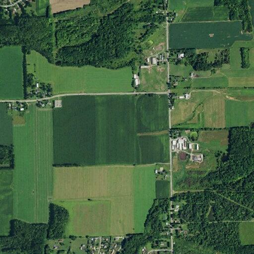 Man seizing after fall near Meadowvale Drive