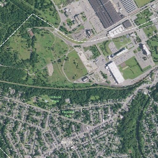 Teenager with possible broken hip near Shannon Street