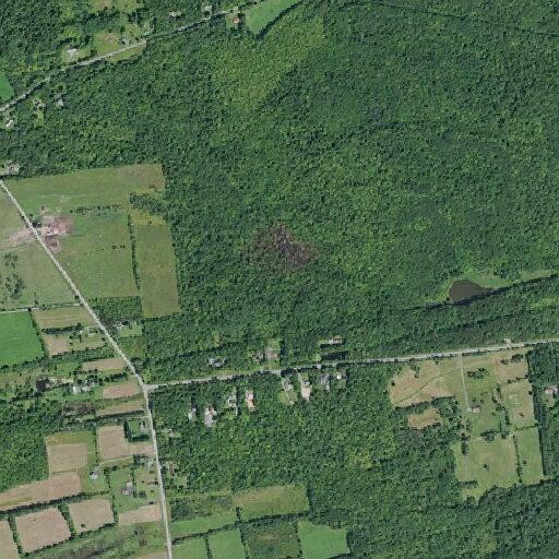 53-year-old woman with breathing difficulty in Delanson