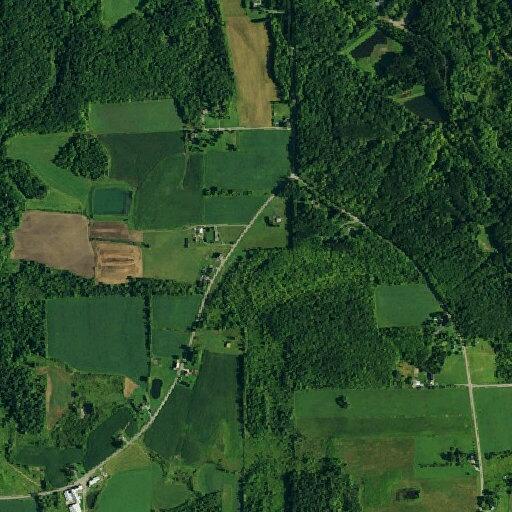 77-year-old man with suspected stroke at Bear Road