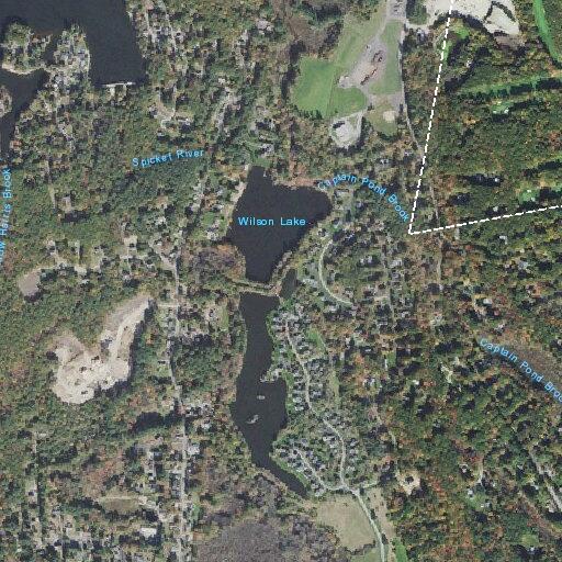 Resident reports neighbors trying to poison dog