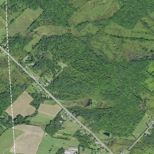 Teen female having a seizure on State Highway 162
