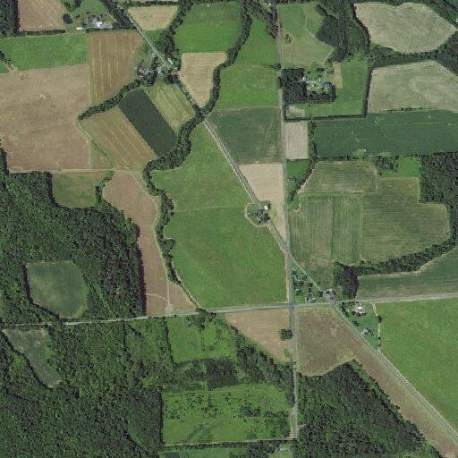 Intoxicated driver flees crash in roadside ditch