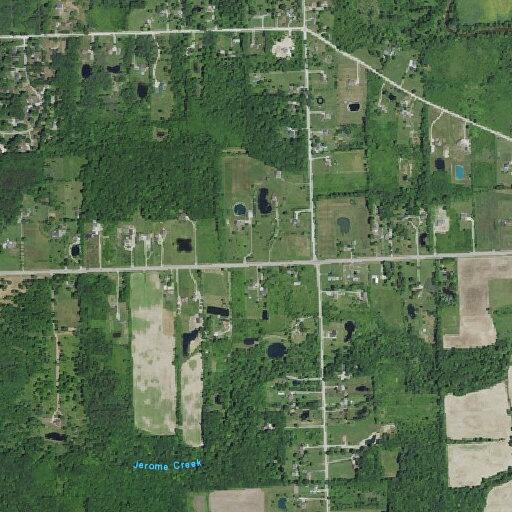 76-year-old man with diabetic issues in Casco