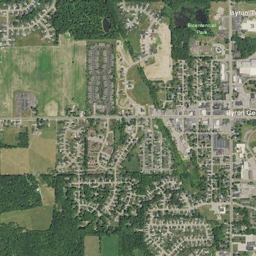 Woman vomiting and covered in hives near Byron Center