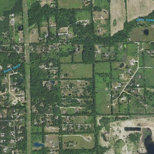 50-year-old woman having seizure at estate sale